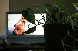 Какое Порно Любят Смотреть Женщины